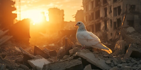 Peaceful Dove Perched on Urban Ruins at Sunset