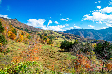 Naklejka premium 長野県高山村の秋景色、山田牧場周辺の紅葉
