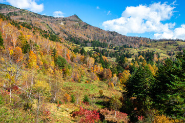長野県高山村の秋景色、山田牧場周辺の紅葉