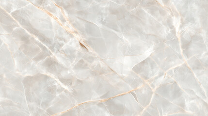 Obraz premium High quality texture for detail design use - clear 8k hyper realistic intricate pattern on flat, even surface - white marble stone structure with veins branching through the shiny rock mineral core