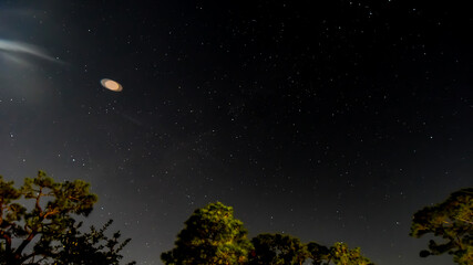 Naklejka premium Night October Skies in Orange Beach, Alabama, Moon, Stars, Trees