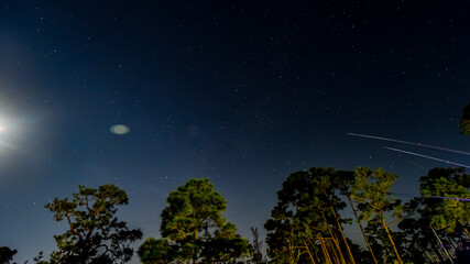 Night October Skies in Orange Beach, Alabama, Moon, Stars, Trees