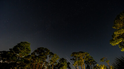 Night October Skies in Orange Beach, Alabama, Moon, Stars, Trees
