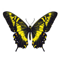 Fototapeta premium Yellow and Black Butterfly: A Detailed Illustration 