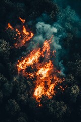 Fototapeta premium Aerial View of Burning Forest in High Fidelity