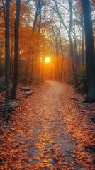 Obraz premium Autumnal Forest Path with Sunbeams Illustration