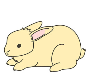 うさぎ01