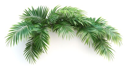 Green Branch Isolated on White