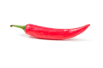 Single chili pepper isolated on white background. Chili hot pepper whole. Chili Clipping Path. Copy space.