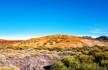 Obraz premium Volcanic landscape, Island Tenerife, Canary Islands, Spain, Europe.