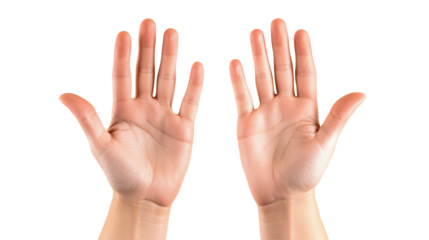 Open hands showing palms on transparent background