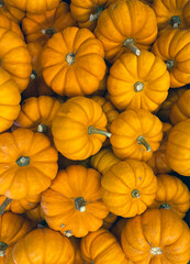yellow pumpkins