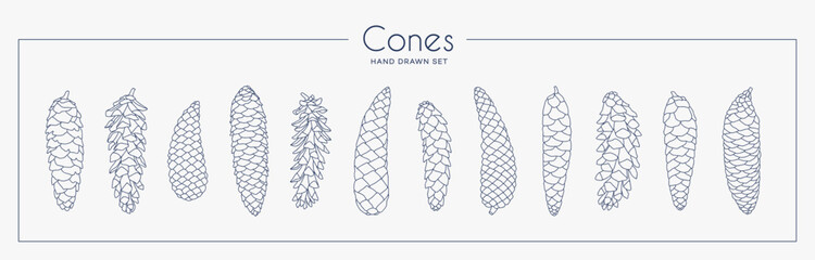 Pine cones vector collection set