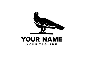 Fototapeta premium American Bird Flying Wildlife Illustration Logo Design