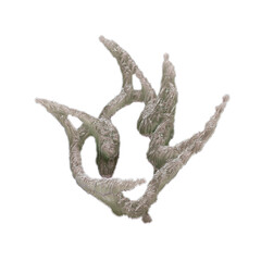 3d Biomorphism organic shapes