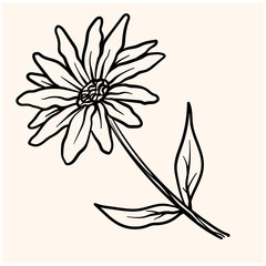 Doodle daisy flower With illustration style doodle and line art
