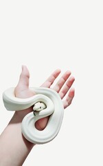 hand holding a piece of meat