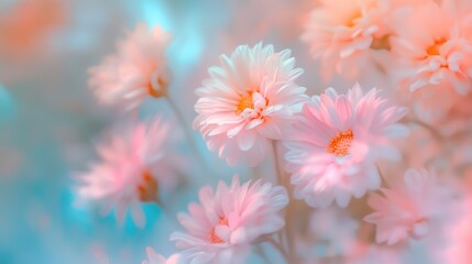 Fototapeta premium flowers in soft pastel colors in a blurry style soft with abstract background