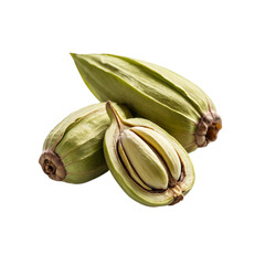Cardamom.4000 x 4000 PNG
