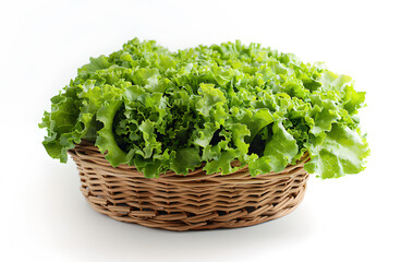 Naklejka premium Basket filled with green oak lettuce heads generative ai
