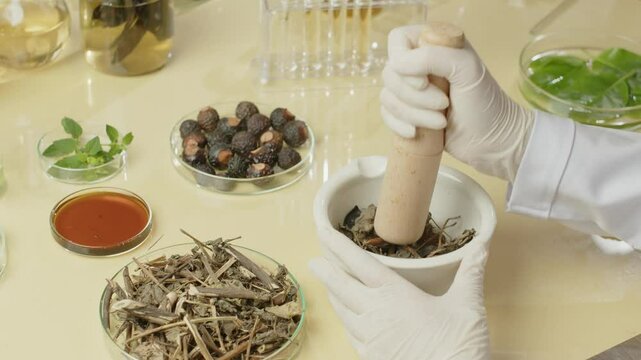 Dried herbs were placed in a white mortar and pounded by a researcher with a wooden pestle in a modern lab setting with herbal ingredients for experiments. Close-up video sample with a high-angle view