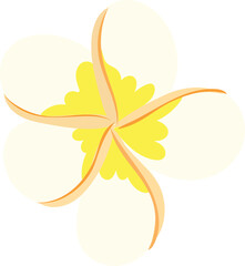 Flower on white background. Vector illustration.