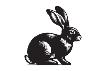 Cottontail Rabbit silhouette vector illustration, Cottontail Rabbit silhouette 