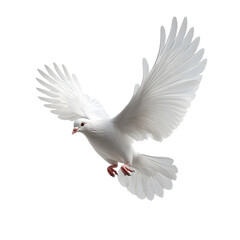 Obraz premium PNG of One White Dove freedom flying Wings on transparent background symbol of International Day of Peace, Holy spirit of God in Christian religion heaven concept