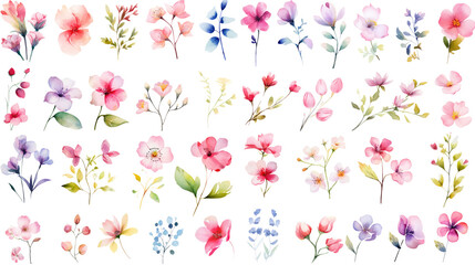 Set of watercolor wildflowers painting isolated on clear png background and transparent background. Fresh and nature concept for nature decorative and flower element, AI generative.