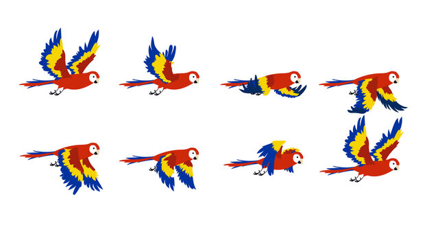  Parrot Fly cycle frame by frame, bird, bird flying animation frame by frame, Royalty free ,bird fly cycle frame by frame