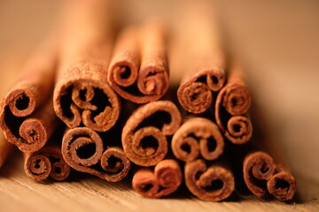 Cinnamon or with the scientific name Cinnamomum is a type of tree that produces spices. Cinnamomum verum. blurred image. 