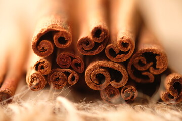 Cinnamon or with the scientific name Cinnamomum is a type of tree that produces spices. Cinnamomum verum. blurred image. 