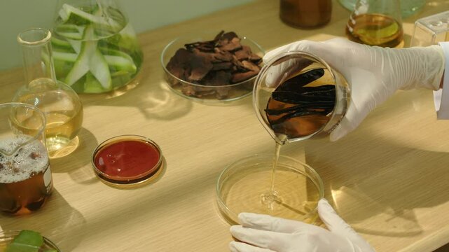A high-quality video sample of a shampoo experiment shows a scientist filling a petri dish with honey locust solution as other experimental samples and herbs are arranged around it on a wooden table.