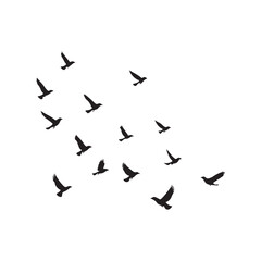 Nine Silhouettes of Female Surfers Walking with Boards