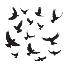 set of silhouettes of birds