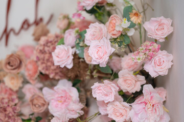 beautiful rose flower	