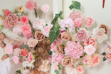 beautiful rose flower	