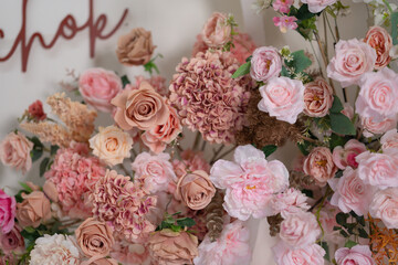 beautiful rose flower	