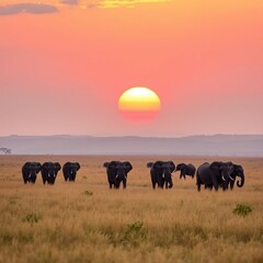 Fototapeta premium A safari in the Serengeti at sunrise, with a herd of elephants walking through the golden savannah grass