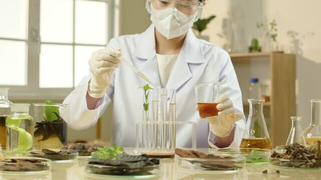 A scientist is shown in this footage of a contemporary lab, dropping a brown solution from a beaker to a test tube while surrounded by glassware holding various herbal concoctions.