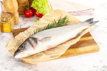 Raw seabass fish for cooking