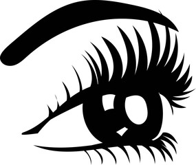 Eyebrow and eyelash on white background. Vector illustration.