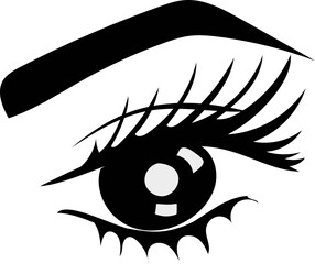 Eyebrow and eyelash on white background. Vector illustration.