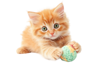 A fluffy orange kitten with big green eyes, playfully batting at a colorful ball of yarn. Its tiny paws are stretched out, and its ears are perked up in curiosity.