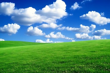 Obraz premium Beautiful landscape with a green field and blue sky