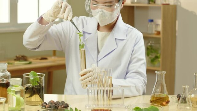 A fresh basil branch drenched in solution is taken by the scientist and observed; the video sample is placed in a contemporary lab equipped with all the herbs and supplies required for the experiment.