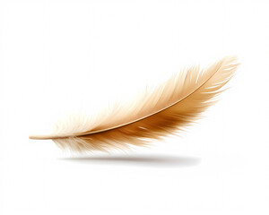Obraz premium Explore the intricate beauty of a soft feather representing grace and lightness often associated with nature and creativity