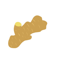Flat illustration of herbal ginger 