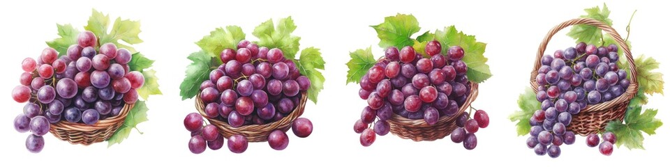 Obraz premium Vibrant watercolor clipart featuring delicately detailed designs, perfect for enhancing creative projects with artistic flair.