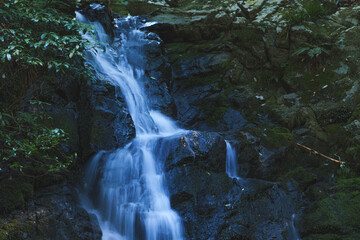 waterfall in lush green forest